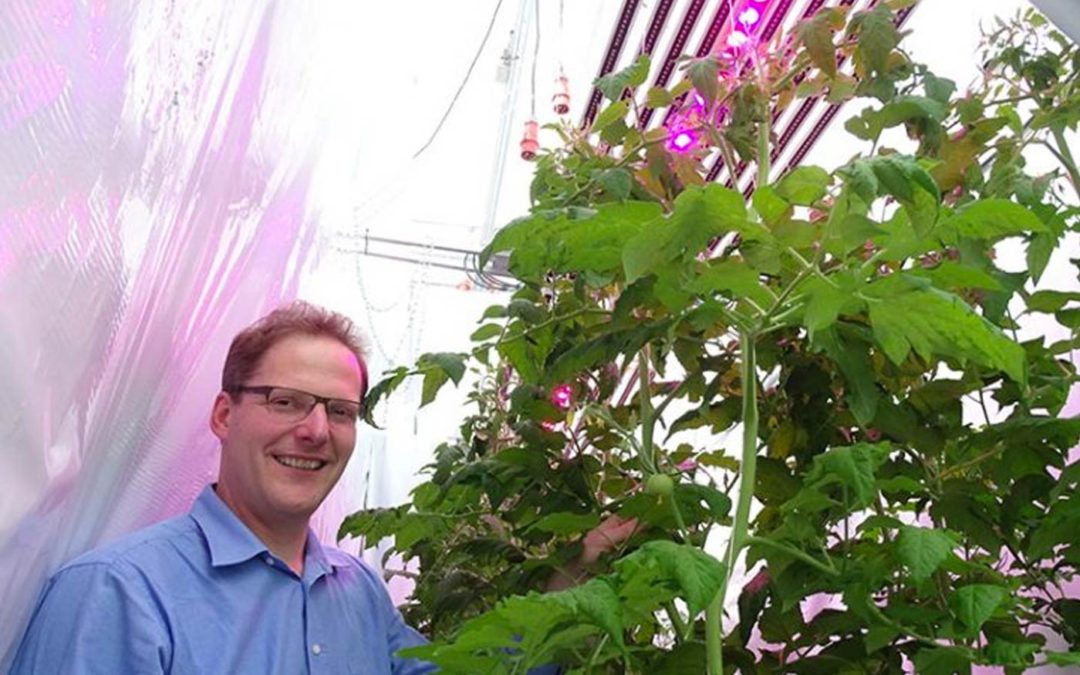 ‘No greenhouse should be without diffuse glazing, no matter where in the world’