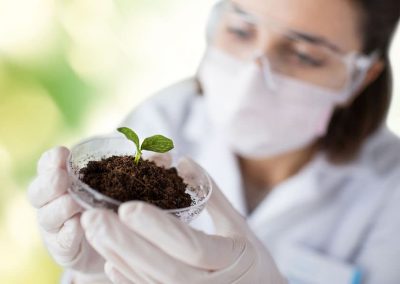 Resilient crops and robust cultivation systems are in the spotlight these days.