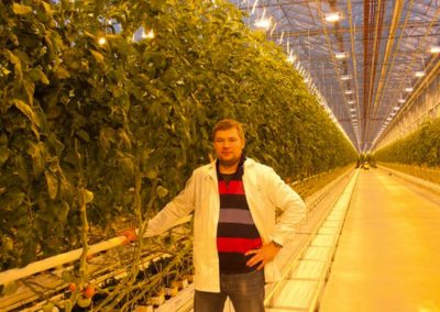 Contributing to the region’s self-sufficiency in vegetable production