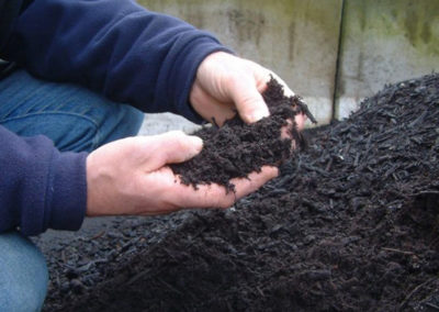 Use compost to increase resistance to plant diseases