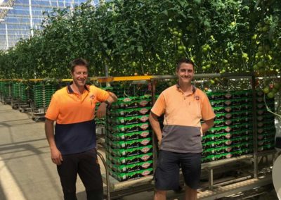 Australian marketing success supported by Dutch cultivation know-how