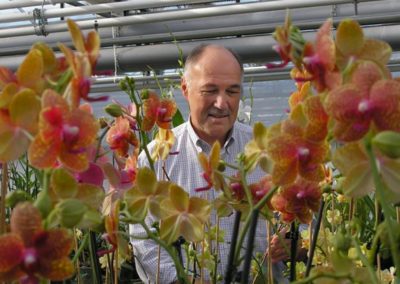 Understanding photosynthesis important for CO2 dosing and lighting