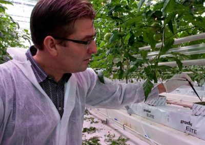 Steering with high EC improves taste and quality of fruits