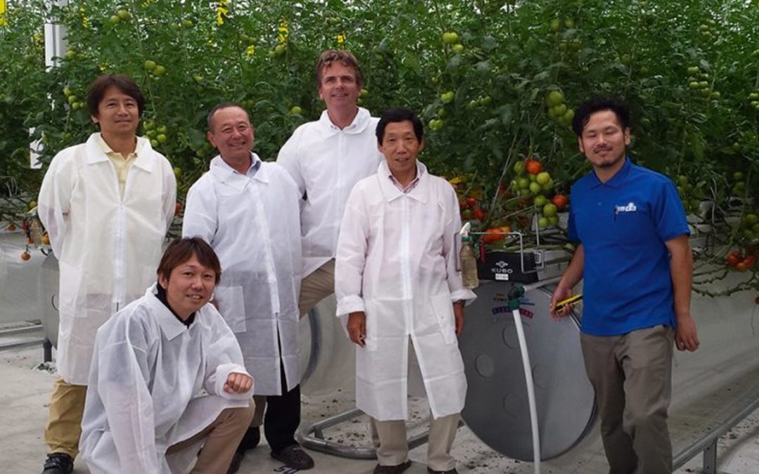 Revolutionary greenhouse technology delivers higher yield and better quality