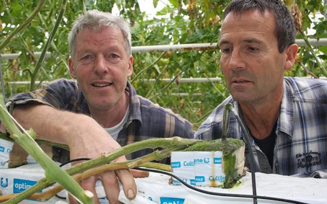 Wireless sensor gives representative image of water content in slab