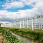 Belgian greenhouse horticulturists visited a geothermal well and a cluster of horticulture firms in the Dutch province of IJsselmuiden.