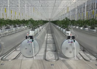 Fruit juice producer Haisheng, a Chinese company with more than 2,000 employees, recently ordered an Ultra Clima greenhouse from Kubo.