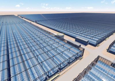 Greenhouse builder KUBO is building a 190-hectare solar greenhouse complex for Oman’s largest oil producer. The greenhouses will be containing solar mirrors