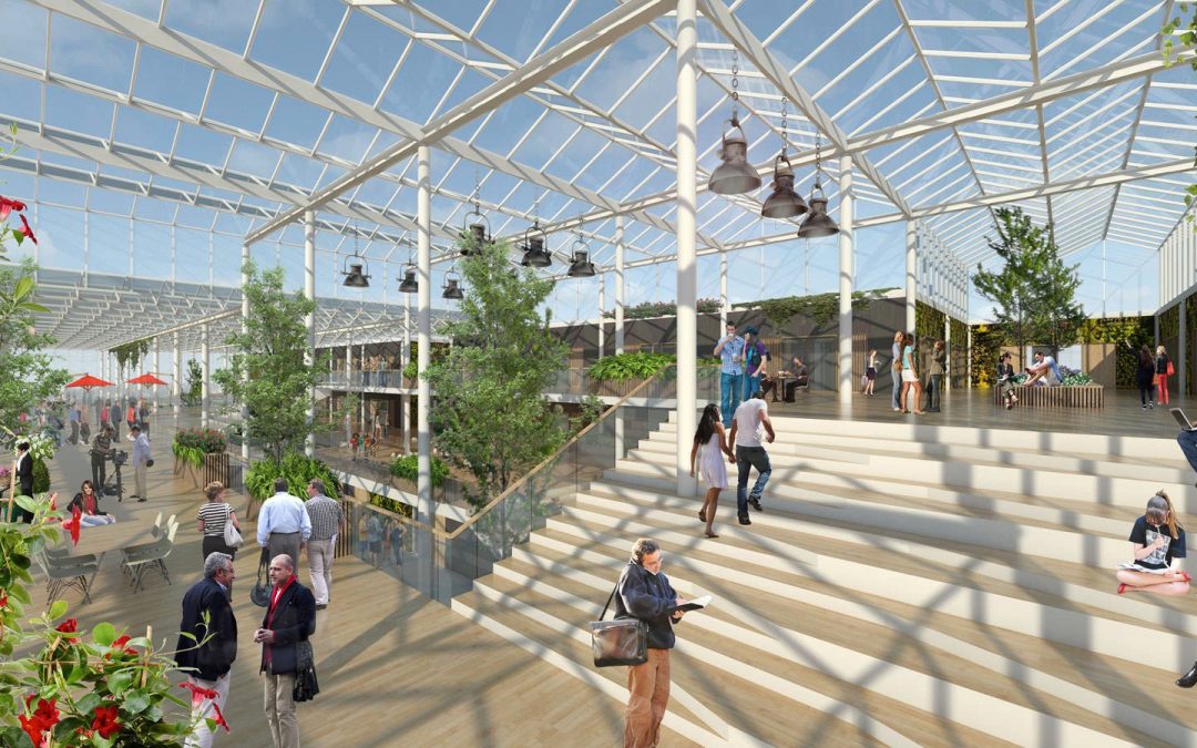 Construction of World of Westland begins