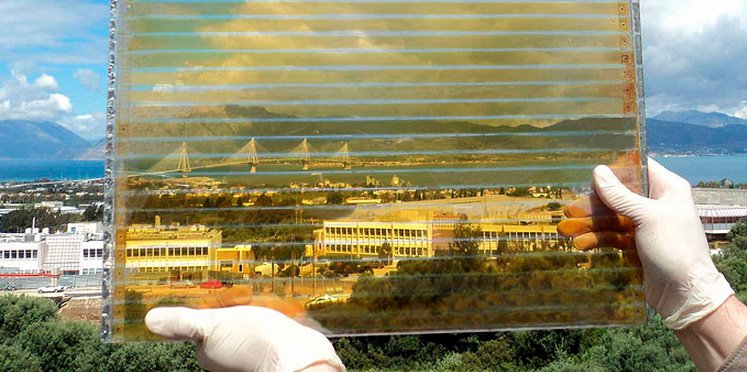 Brite Solar Glass generates electricity for greenhouses