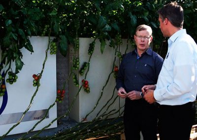 'A good climate computer system is essential to prevent diseases in the crop', says tomato grower Frank van Kleef.