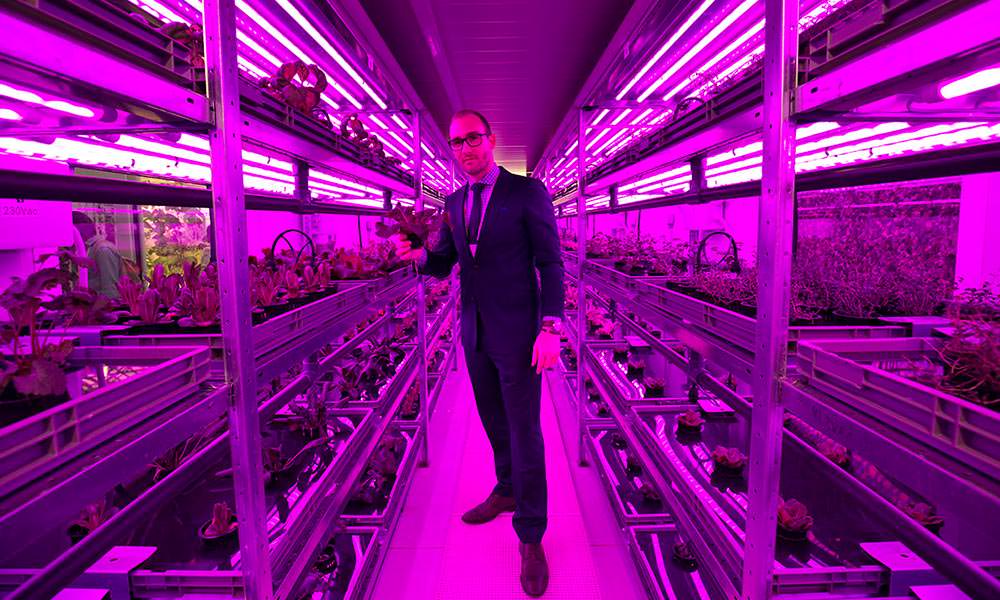 Vertical farming is definitely the future, the only question is where and when