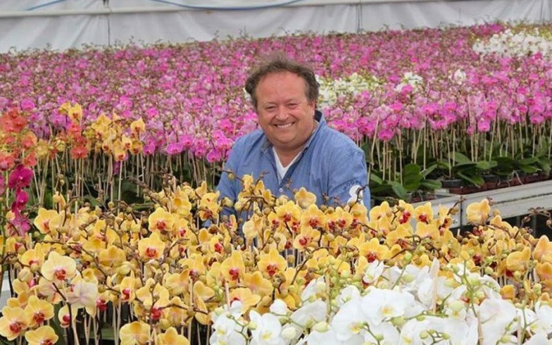 Phalaenopsis grower opens the batting with certified organic production
