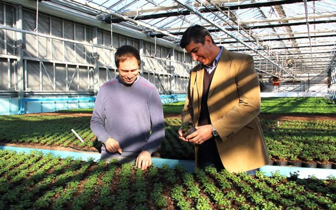 Growing pot plant market gives Turkish-Danish joint venture a head start