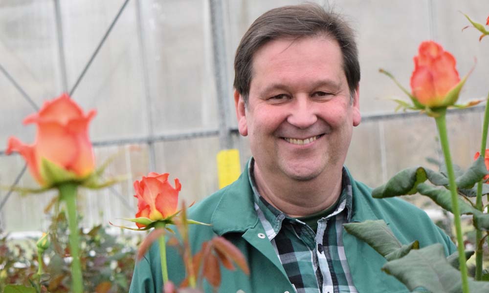 German rose grower chooses market development over expansion