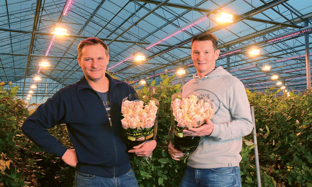 Influenced by the high cost of electricity, subsidies and the ageing of their previous systems, two Belgian nurseries installed hybrid top lighting.