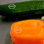 Cucumber and bell pepper with laser brand