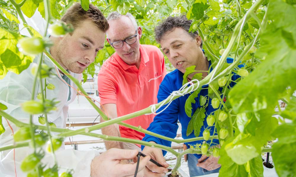 Stabilised hydrogen peroxide cleans pipes efficiently and gently