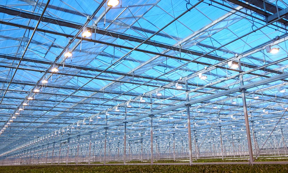 Schaalvergroting is een nauwelijks te stoppen fenomeen waar ook de glastuinbouw al decennia lang mee te maken heeft.