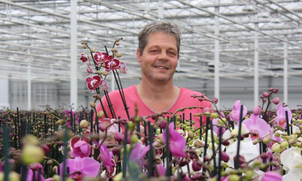 In de Nederlandse glastuinbouw gaat de vernieuwing te langzaam, terwijl de sector aan concurrentiekracht verliest. Een herstructurering is daarom geboden.