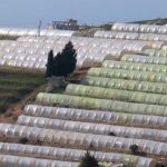 WUR innovative horticultural greenhouse increases water efficiency in Lebanon