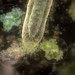 Soil is a living organism is the title of a new 12-minute explanatory video by Plant Health Cure