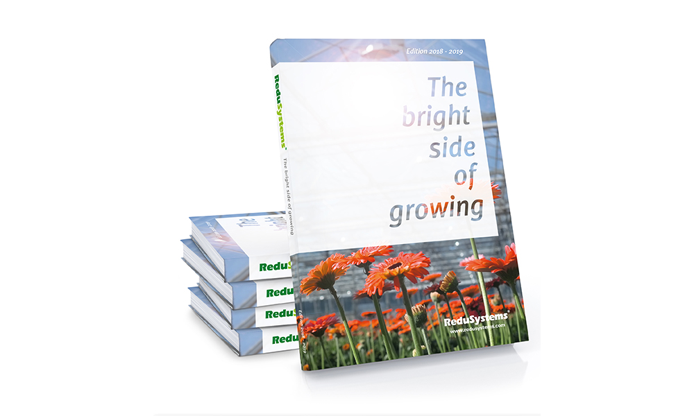 ebook the bright side of growing