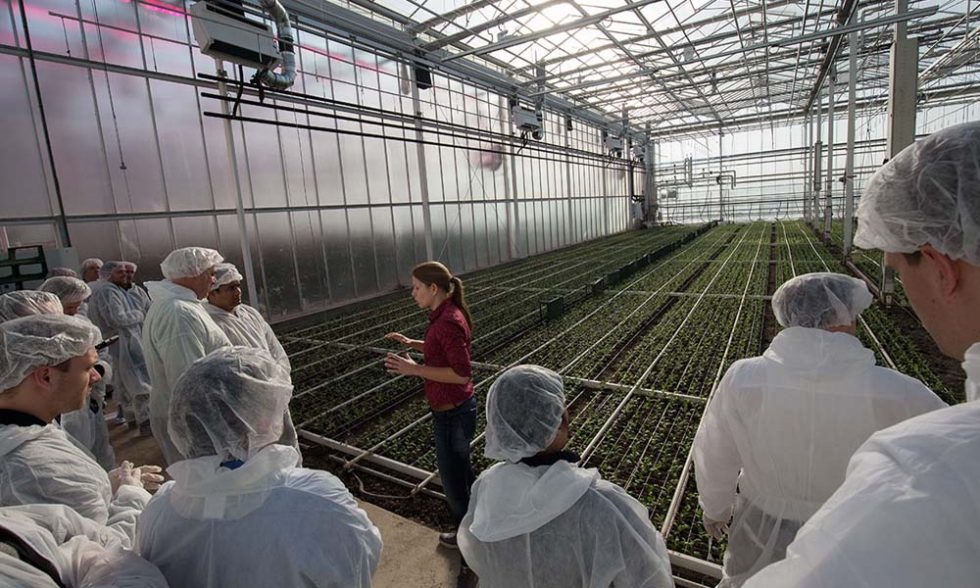 Twoday excursion to innovative Dutch greenhouses