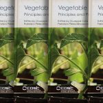 A group of experts have now compiled all the available knowledge in this area in a book called “Vegetable grafting: principles and recent practices”.