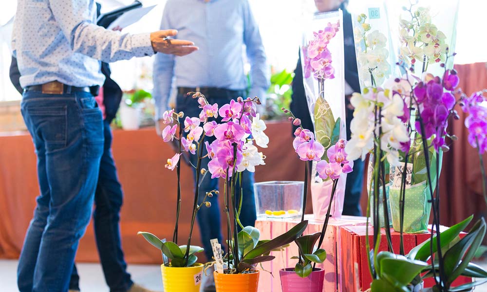 Orchid Inspiration Days 2018