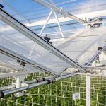 The Winterlight greenhouse at the Energy Innovation and Demo Centre (IDC) in Bleiswijk (NL).