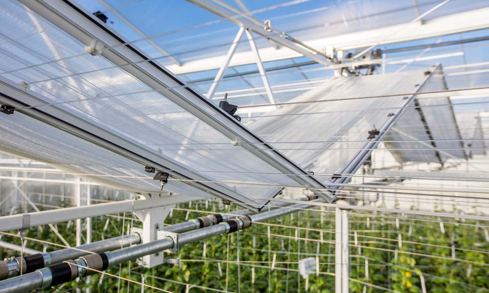 The Winterlight greenhouse at the Energy Innovation and Demo Centre (IDC) in Bleiswijk (NL).