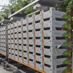 Gridmap is the new technology for moving your harvest trolley in the greenhouse without rails. Now, for the first time, a harvest trolley can move around a greenhouse entirely without rails in the concrete floor or processing area.