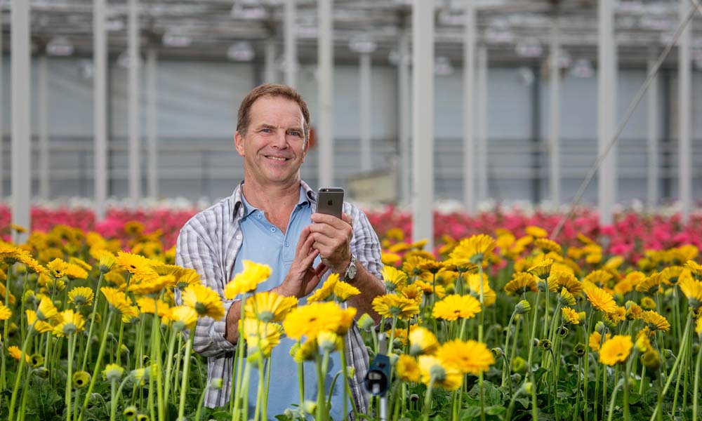 Digital tool for servicing and maintenance in horticulture