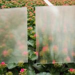 Manufacturers offer a wide range of glass types. The question is how growers are supposed to choose if they don’t have enough data on their own crops.