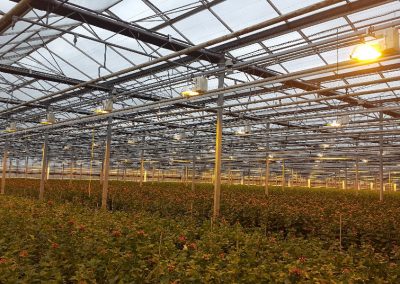 The use of Direct Current in greenhouse horticulture appears to be a very promising alternative. A pilot in the greenhouse horticulture sector demonstrated a positive business case for the use of Direct Current (DC) for greater durability of components, as well as cost and material savings.