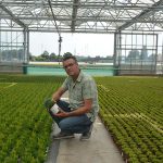 German company grows pot plants and bedding plants for upper segment