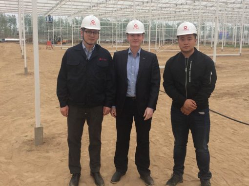 ‘High-tech greenhouses the direction for Chinese horticulture’