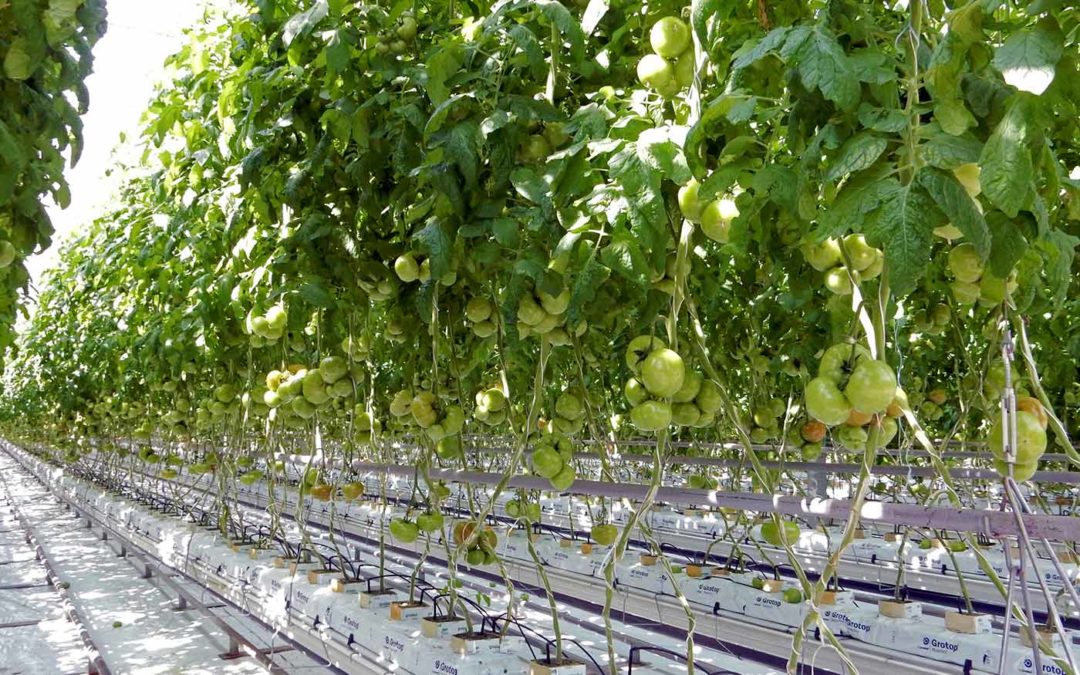 Data gebruiken voor strategische en tactische keuzes