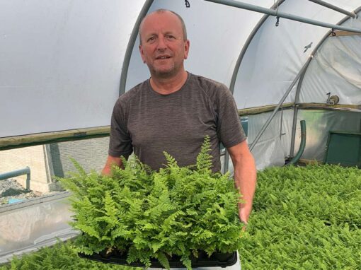 Neil Alcock: ‘Our focus makes it hard to decide which varieties to keep’